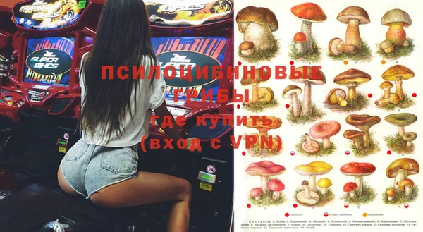 хмурый Балабаново