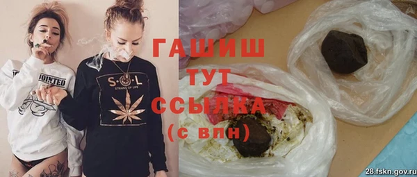 шишки Арсеньев