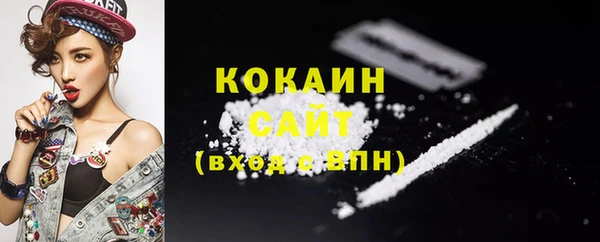 шишки Арсеньев
